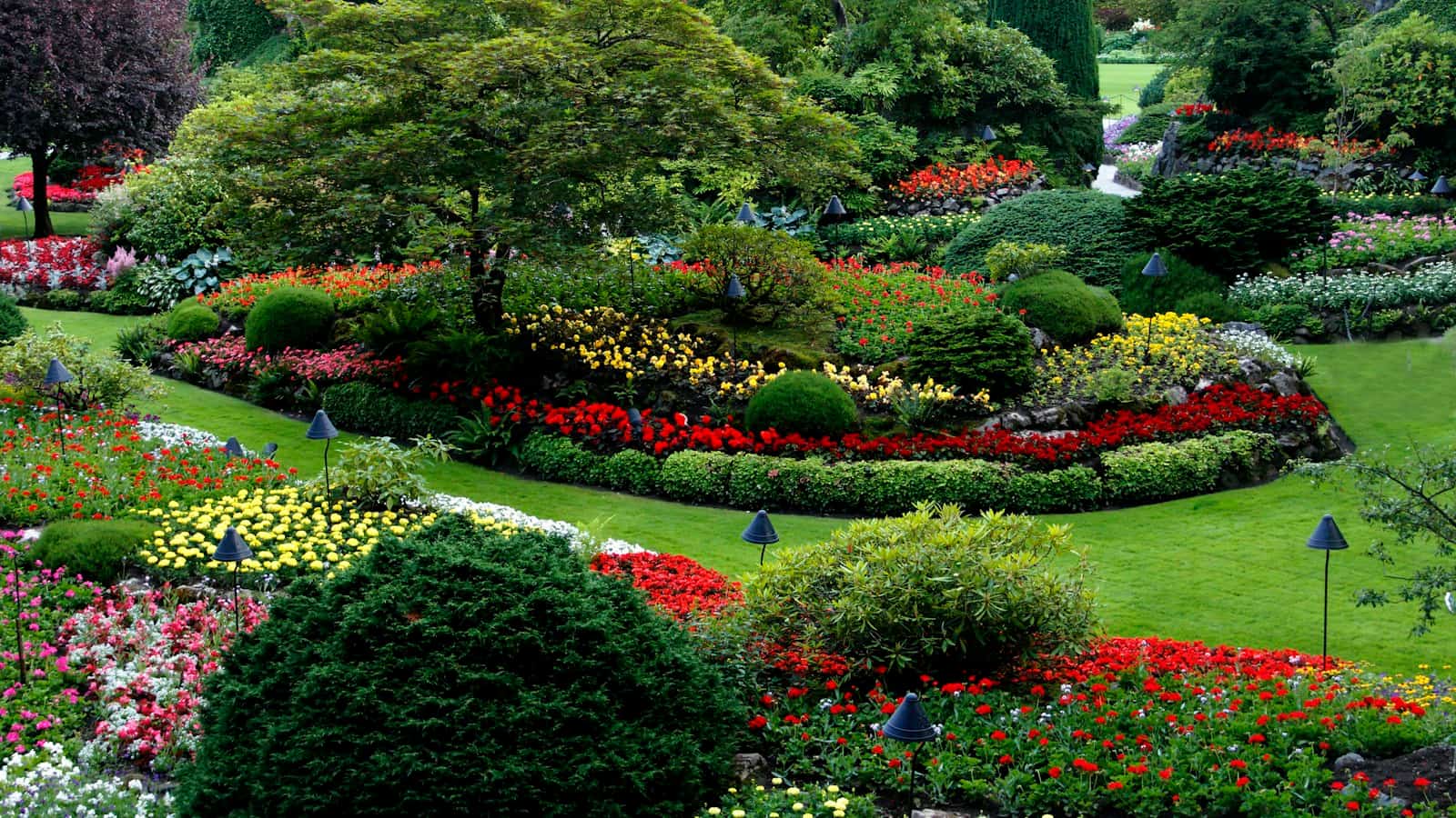 Jardim com canteiros de flores e arbustos