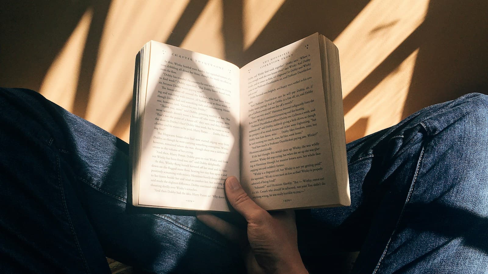 Pessoa lendo um livro